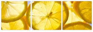 Plátky citrónov - obraz (Obraz 90x30cm)