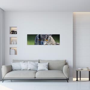 Sova - obraz (Obraz 90x30cm)
