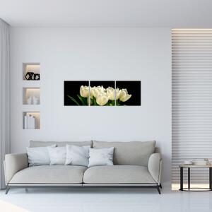 Biele tulipány - obraz (Obraz 90x30cm)
