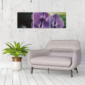 Obraz kvetov orchidey (Obraz 90x30cm)