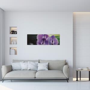 Obraz kvetov orchidey (Obraz 90x30cm)