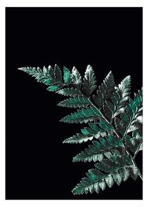 Plagát Dark Leaf