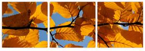 Jesenné lístie - obraz (Obraz 90x30cm)