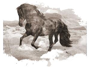 Plagát Horse