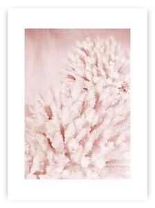 Plagát Pastel Pink II