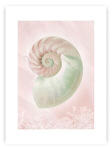 Plagát Pastel Pink III