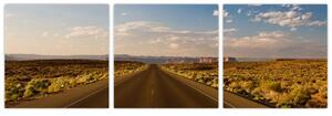 Panorama cesty - obraz (Obraz 90x30cm)