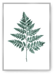 Plagát Fern 21 x 30 cm Emerald Green