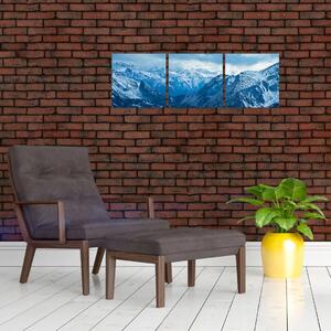 Panoráma hôr v zime - obraz (Obraz 90x30cm)