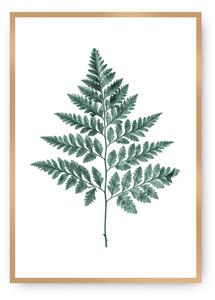 Plagát Fern 21 x 30 cm Emerald Green