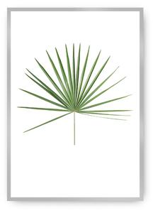 Plagát Tropical Leaf Green