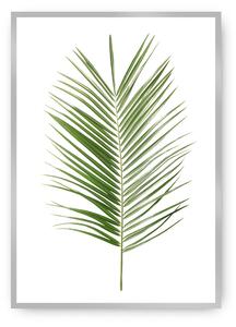 Plagát Palm Leaf Green