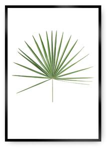 Plagát Tropical Leaf Green