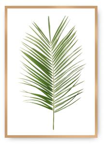 Plagát Palm Leaf Green