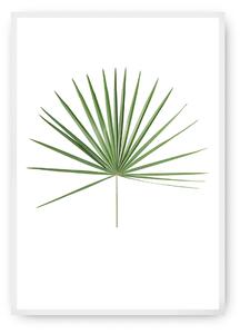 Plagát Tropical Leaf Green