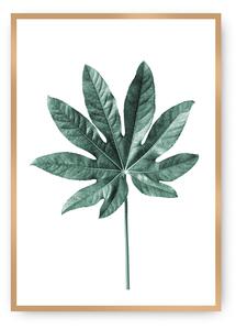 Plagát Leaf Emerald Green