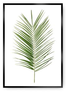 Plagát Palm Leaf Green