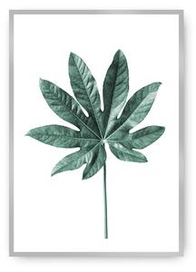Plagát Leaf Emerald Green