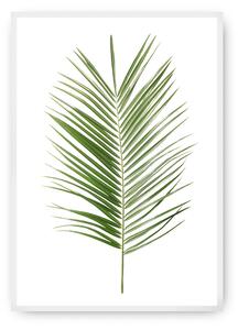 Plagát Palm Leaf Green