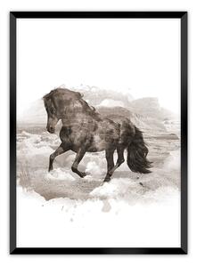 Plagát Horse