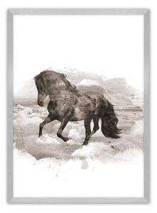 Plagát Horse