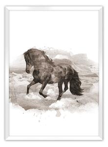 Plagát Horse