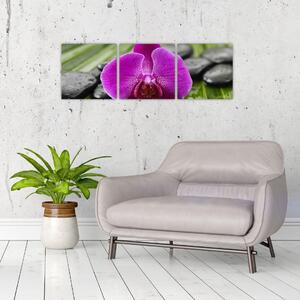 Orchidea - obraz (Obraz 90x30cm)