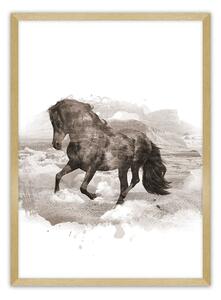 Plagát Horse