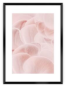 Plagát Pastel Pink I