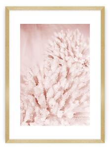 Plagát Pastel Pink II