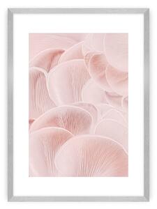 Plagát Pastel Pink I