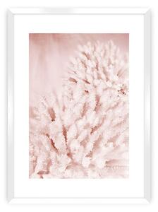 Plagát Pastel Pink II