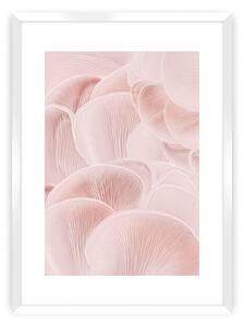 Plagát Pastel Pink I