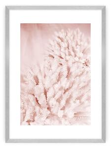 Plagát Pastel Pink II