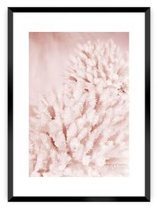 Plagát Pastel Pink II