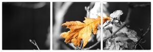 Obraz - prichádzajúce jeseň (Obraz 90x30cm)