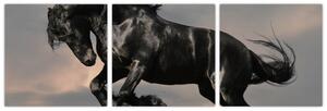 Čierny kôň, obraz (Obraz 90x30cm)