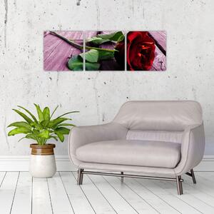 Ležiaci ruža - obraz (Obraz 90x30cm)