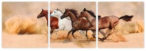 Obraz kôň (Obraz 90x30cm)