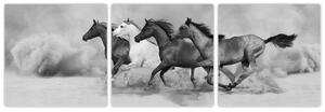 Obraz cválajúci koňov (Obraz 90x30cm)