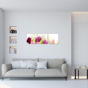 Tulipány, maľby (Obraz 90x30cm)