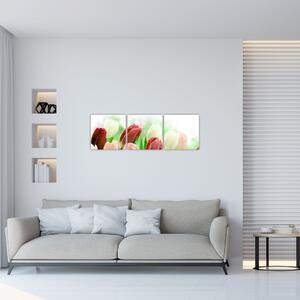 Tulipány, obraz (Obraz 90x30cm)