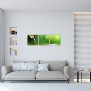 Relaxačný obraz na stenu (Obraz 90x30cm)