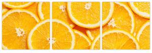 Plátky pomarančov - obraz (Obraz 90x30cm)