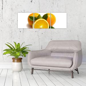 Pomaranče - obraz (Obraz 90x30cm)