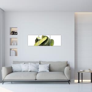 Kyslé uhorky - obraz (Obraz 90x30cm)