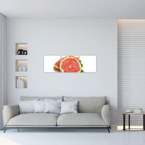 Grapefruit - obraz (Obraz 90x30cm)