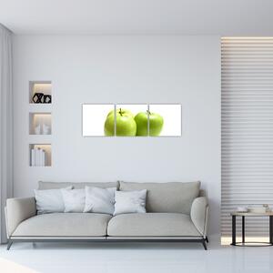 Jablká - obraz (Obraz 90x30cm)