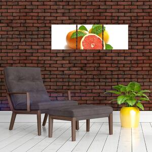 Grapefruit, obraz (Obraz 90x30cm)