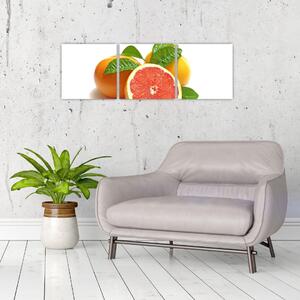 Grapefruit, obraz (Obraz 90x30cm)